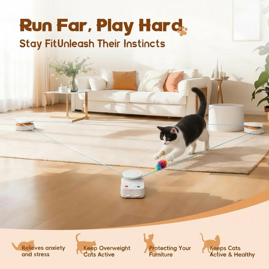 Cat playing with a toy on a wooden floor in a living room.