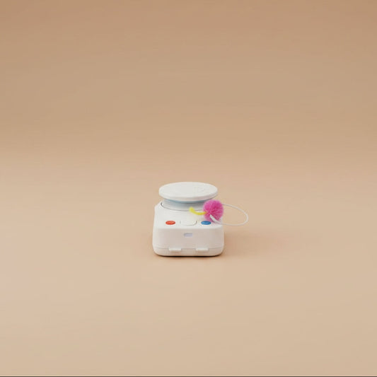 Interactive Automatic Chase Cat Toy  MustLovePets