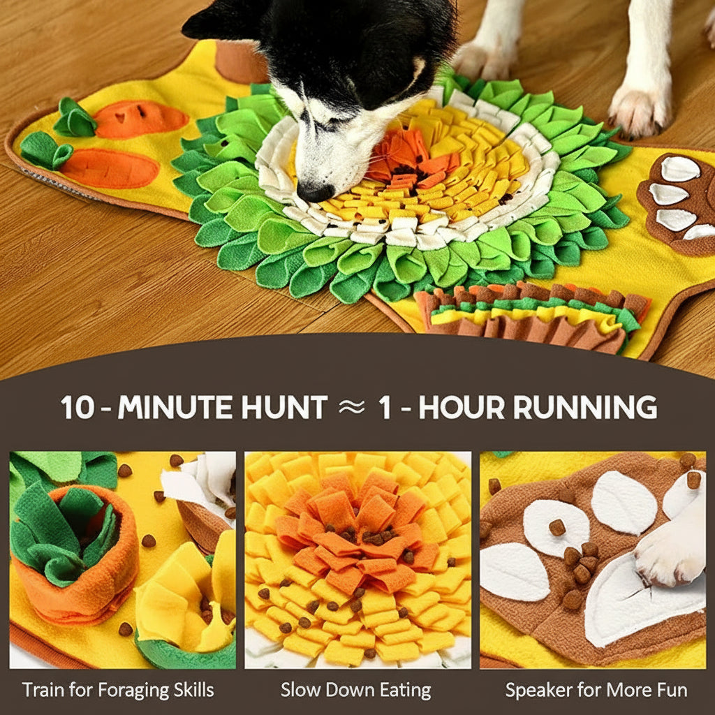 Dog playing with a colorful felt mat on a wooden floor