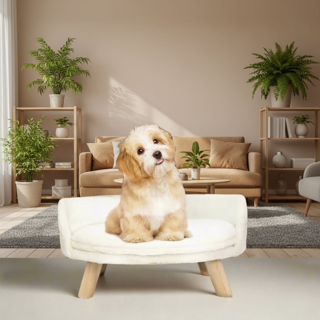 Luxury Cat Bed Soft Warm Plush Fabric Pet Nesting Chair Bed Stool Wood Legs with Cushion Pad Washable Waterproof for Small Pets