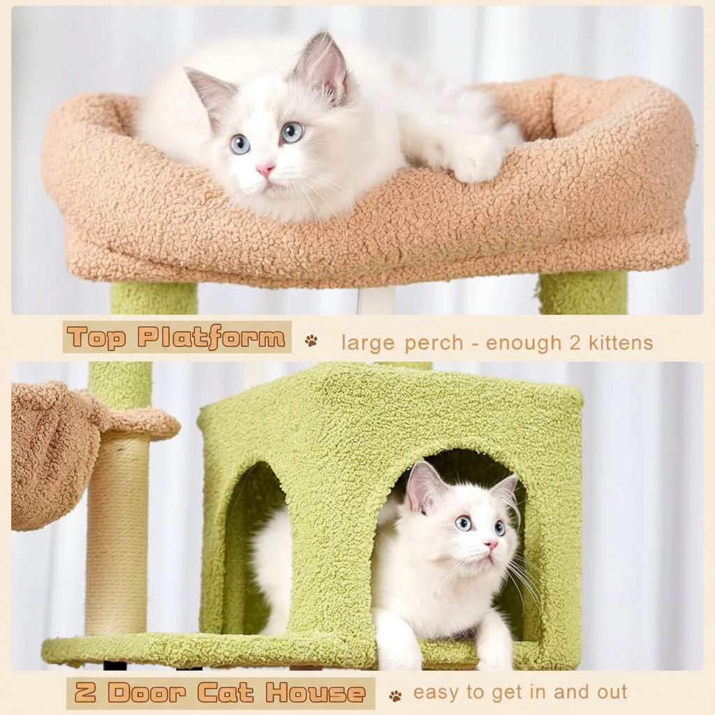 Cat tree with two kittens on a white background