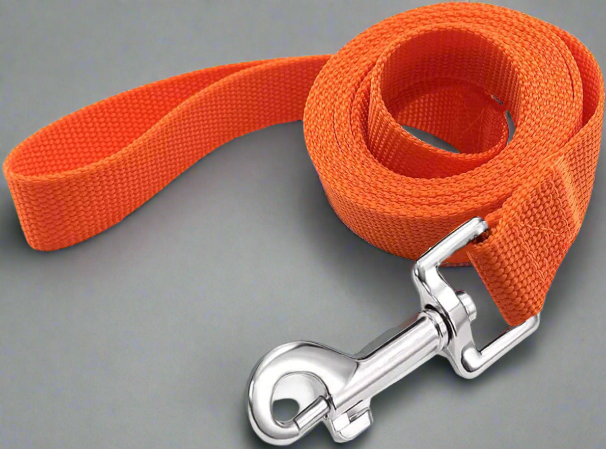 5 FT Strong Dog Leash, Nylon Dog Leashes for Small Medium Large Dogs Orange
