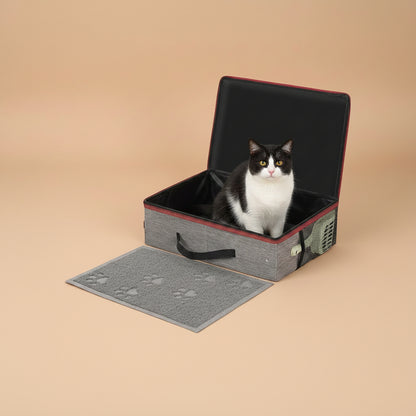 Cat sitting inside a pet carrier with a gray mat on a beige background
