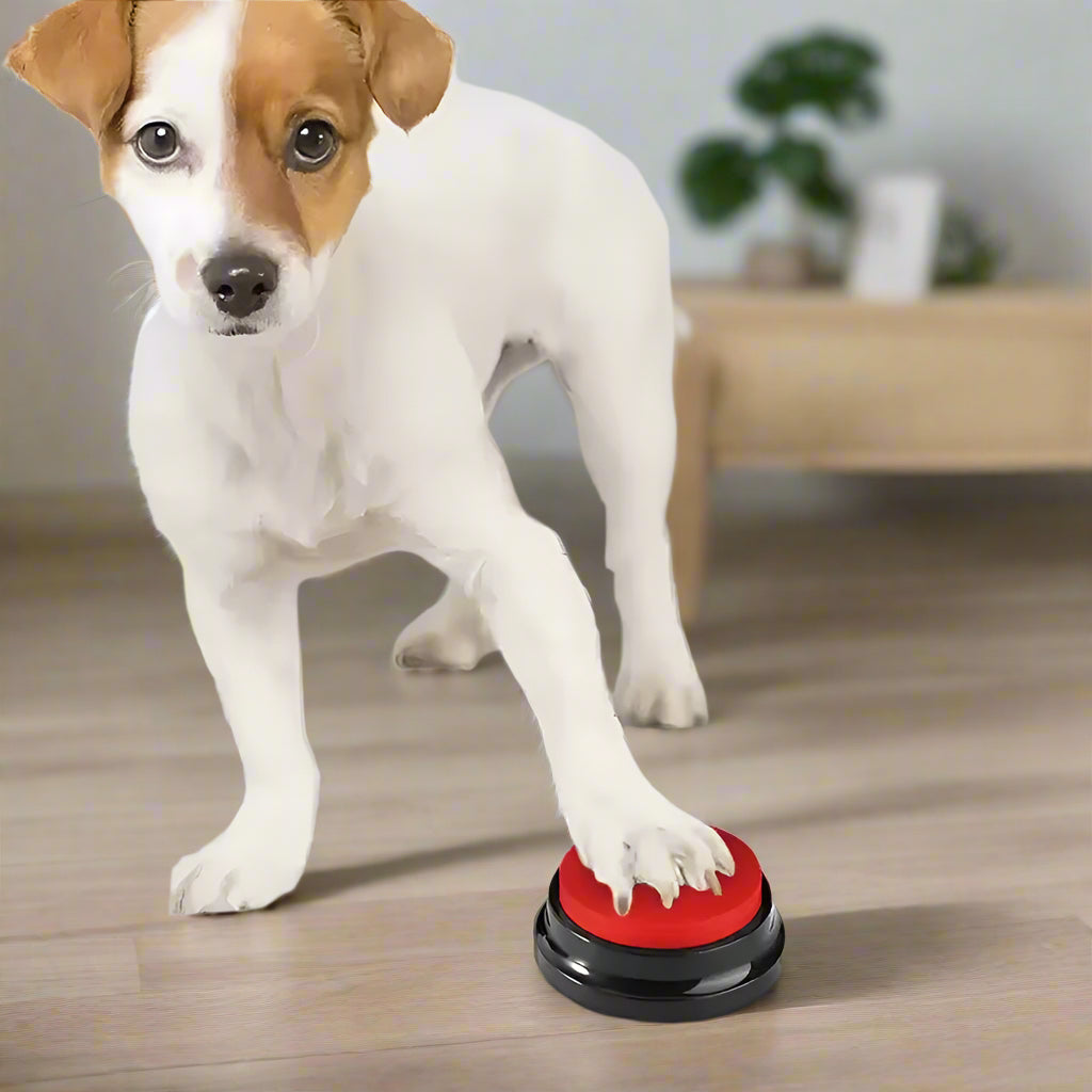 Pet Training Buttons