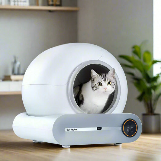 Self Cleaning Cat Litter Box, Ultra-Safe Protection Automatic Cat Litter Box, APP Control/Lower Entry/Large Capacity