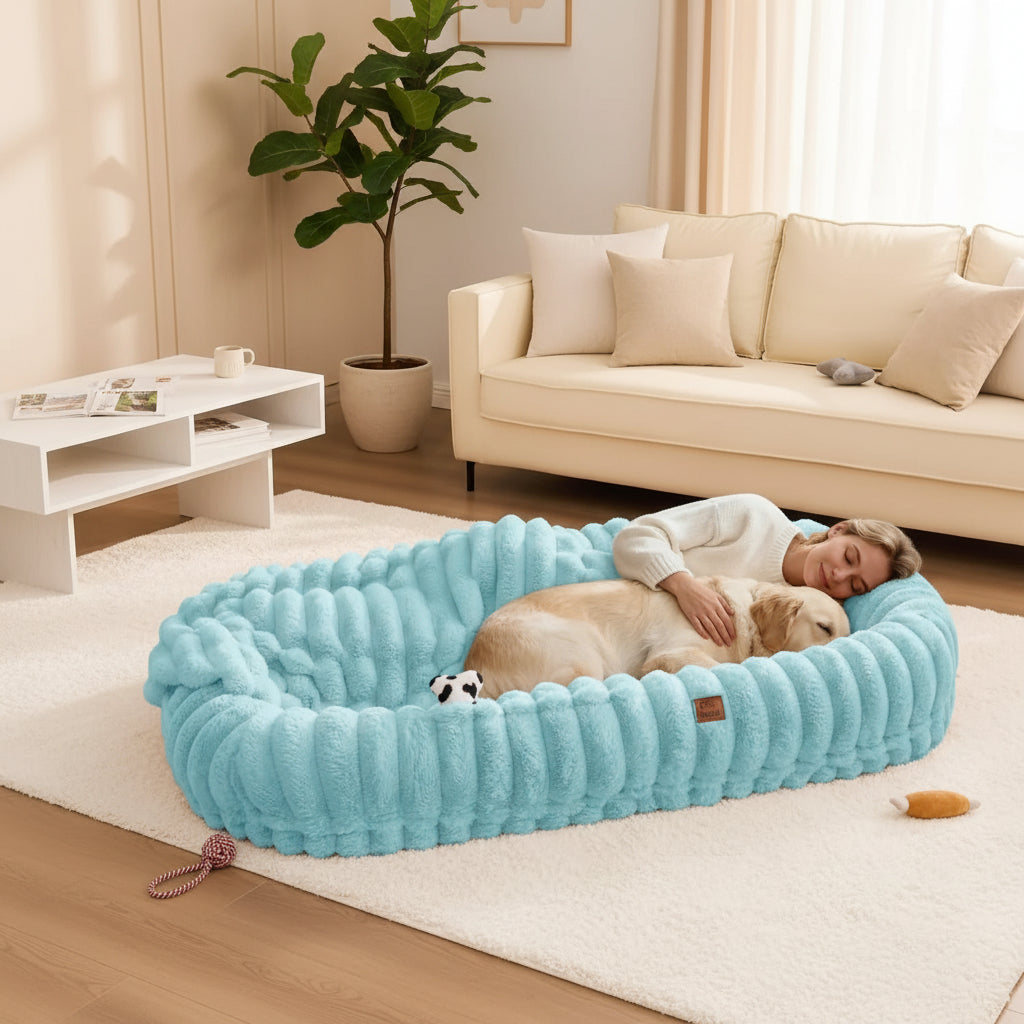Woman lying on a large blue pet bed with a dog, in a living room setting.