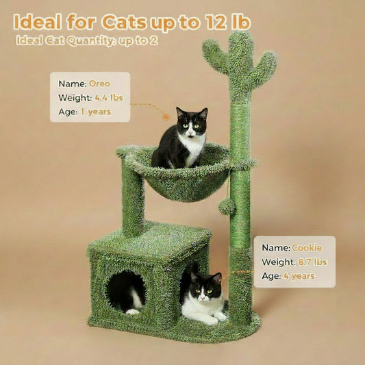 Green cat tree with two cats on a wooden floor, text indicating ideal use for cats up to 12 lbs.