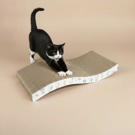 Cat playing on a corrugated cardboard scratcher.