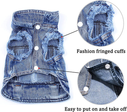 photo with Various design details