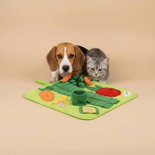 Cat and Dog green garden design felt play mat with food-shaped toys on a beige background