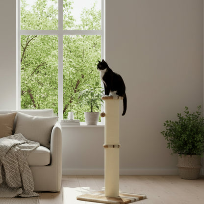 Cat sitting on a cat tree in a living room with a grey sofa and window in the background