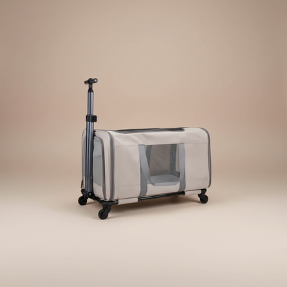 Pet carrier on a beige background