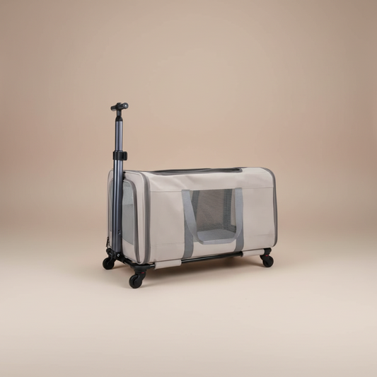 Pet carrier on a beige background