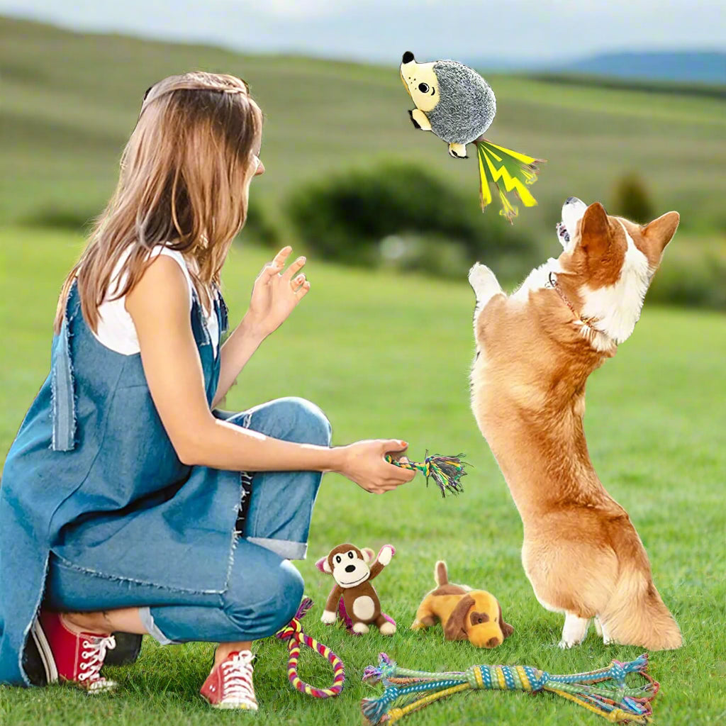 Dog Squeaky Toys for Small Dogs, 12 Pack Puppy Toys for Teething Cute Small Dog Toys Stuffed Plush Dog Toy Bundle Natural Cotton Puppy Rope Toy Dog Chew Toys for Puppies Pet Toys for Dogs