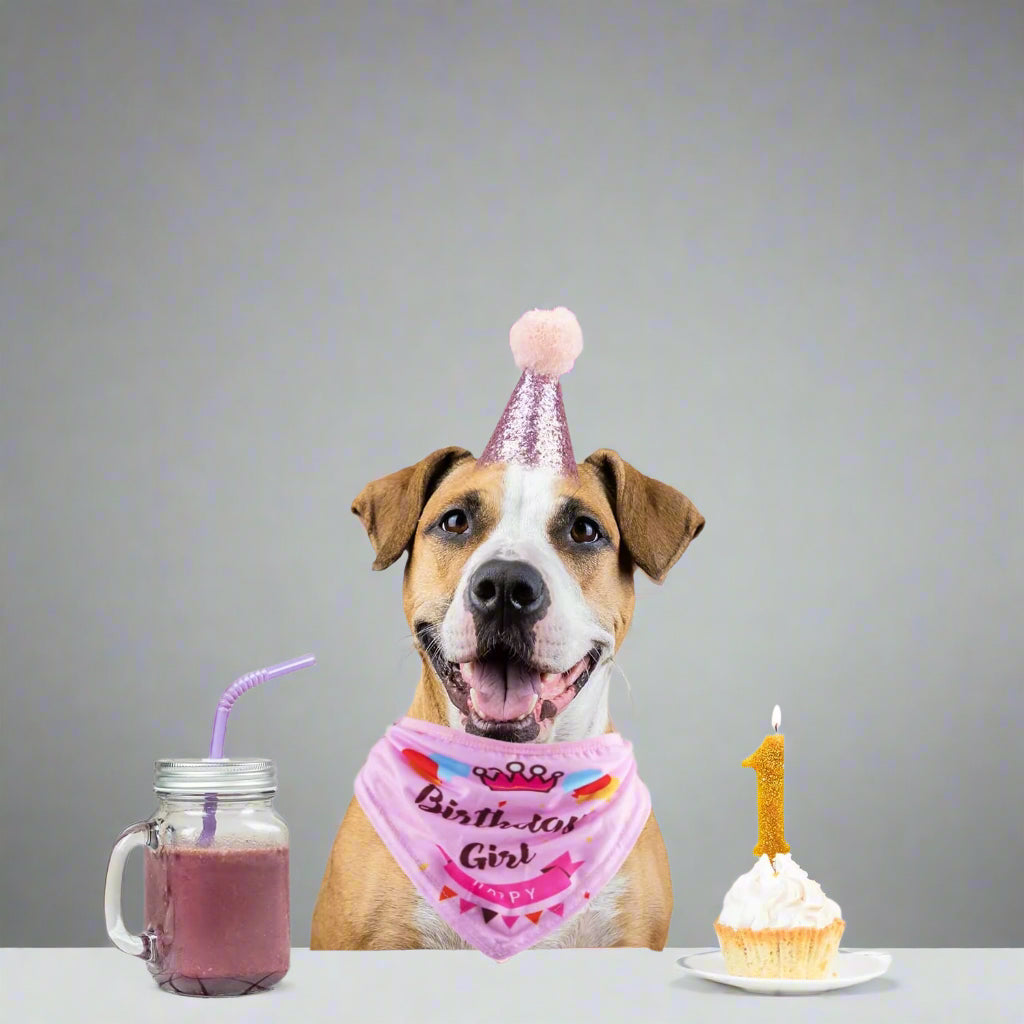 Dog Birthday Party Supplies Bandana Hat Banner Set Boy Girl Cute Bow Tie Scarf Dog Birthday Decorations (Pink，Dog Girl)
