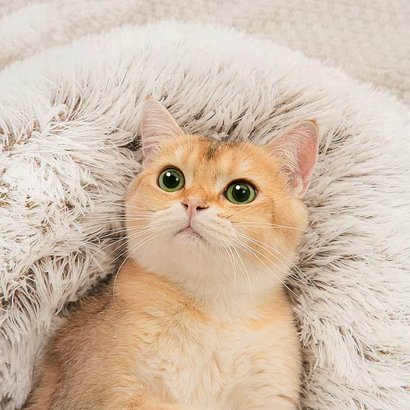 Winter New Long Plush Pet Cat Bed - Round Cat Cushion Donut-Shaped Warm Cat Basket Sleep Bag Nest Kennel For Small Dogs and Cats