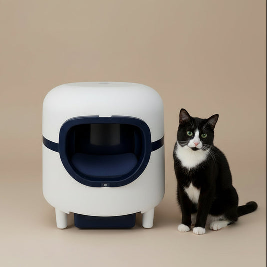 HEYBO Stylish Litter Box Cat Supplies with Smart Sensor