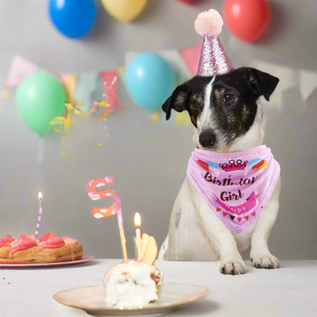 Dog Birthday Party Supplies Bandana Hat Banner Set Boy Girl Cute Bow Tie Scarf Dog Birthday Decorations (Pink，Dog Girl)