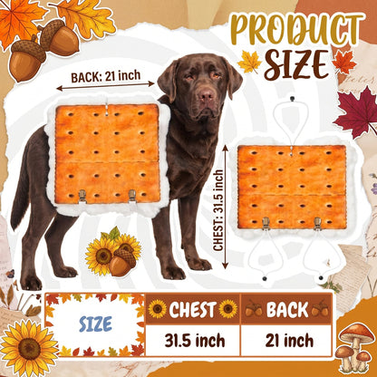 A Autumn-themed product size diagram showing a brown dog with illustrated cracker measurements labeled chest and back, plus text reading 'Product Size' and dimensions 31.5 inch and 21 inch.