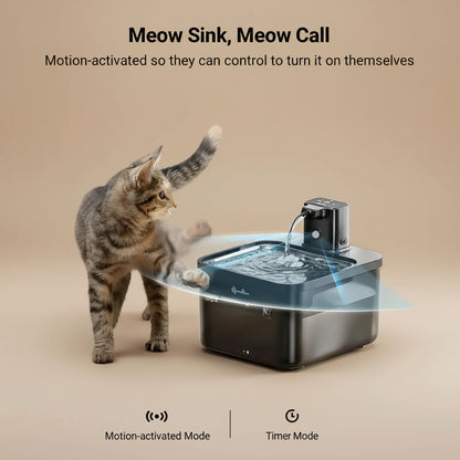 Cat interacting with a motion-activated pet fountain on a wooden floor.