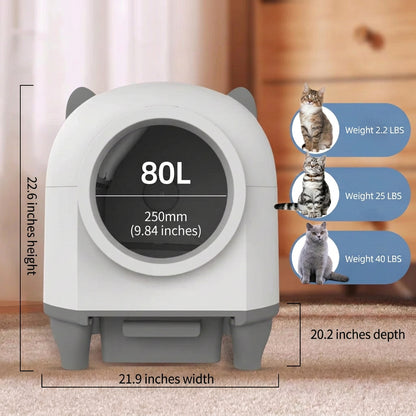 Cat litter box with dimensions and weight information on a carpeted floor.