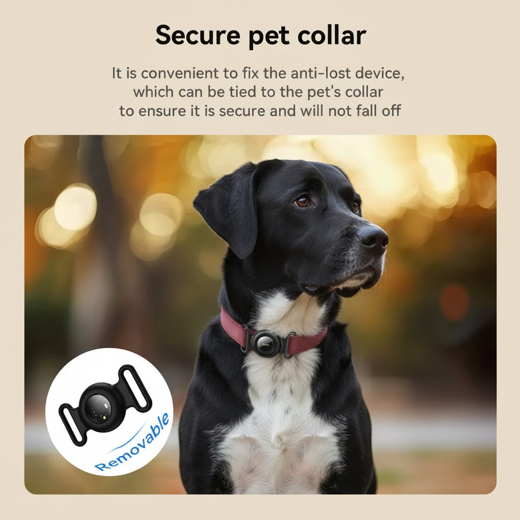 Dog wearing a pink collar with an anti-lost device, set against a blurred outdoor background.