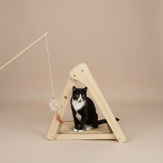 Tuxedo cat sitting inside a wooden pet play structure with a hanging toy on a beige background.