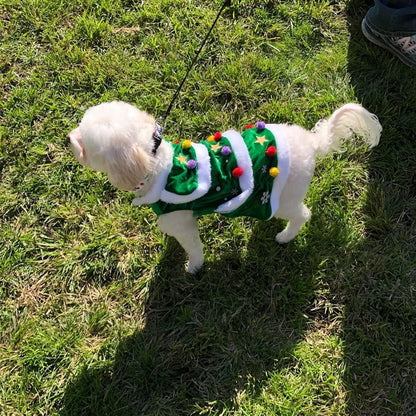 Dog Cloak Pet Winter Clothes Christmas Tree Coat Cute and Warm Dog Costumes (Green, S)