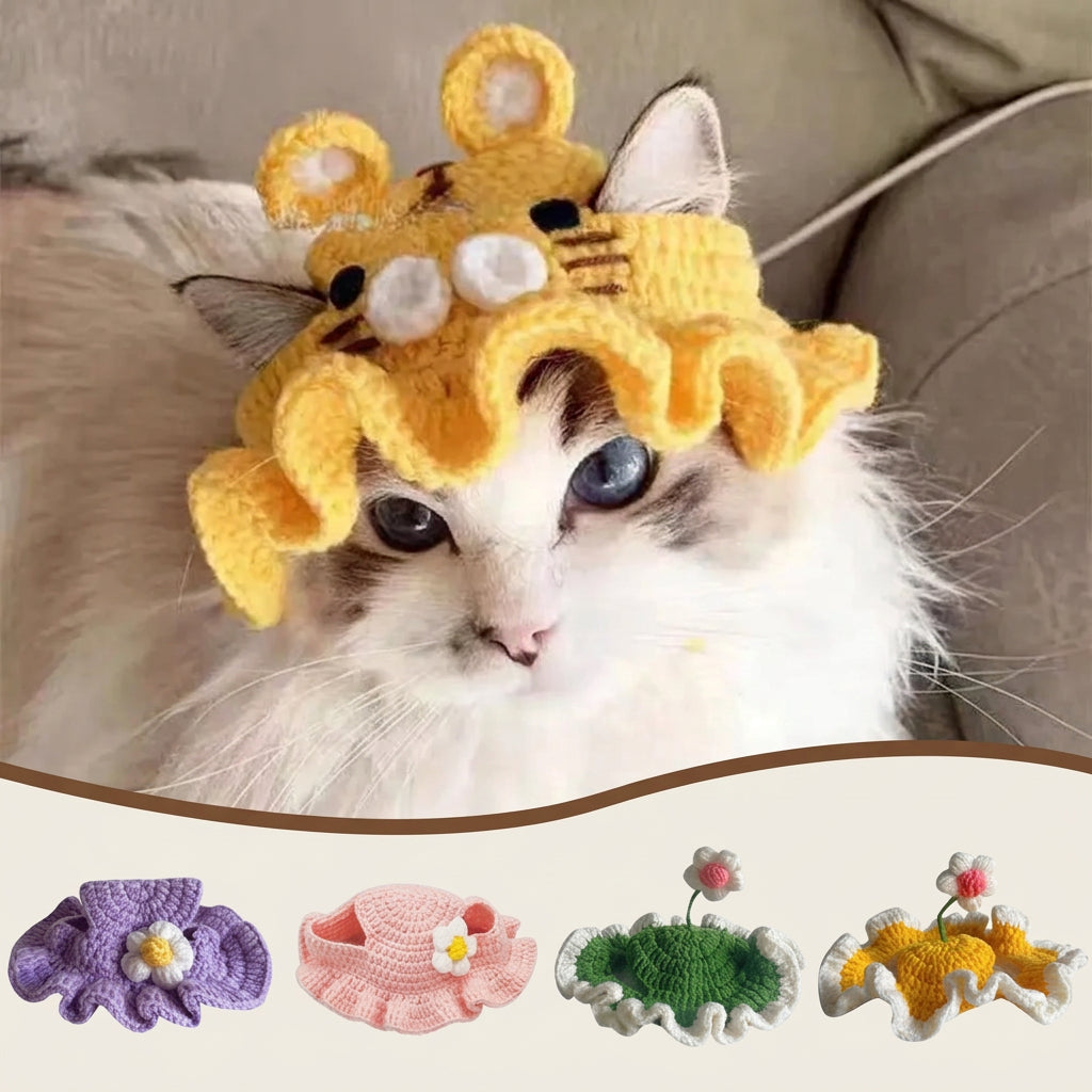 Cat wearing a yellow knitted tiger hat, surrounded by other colorful knitted hats with flowers.