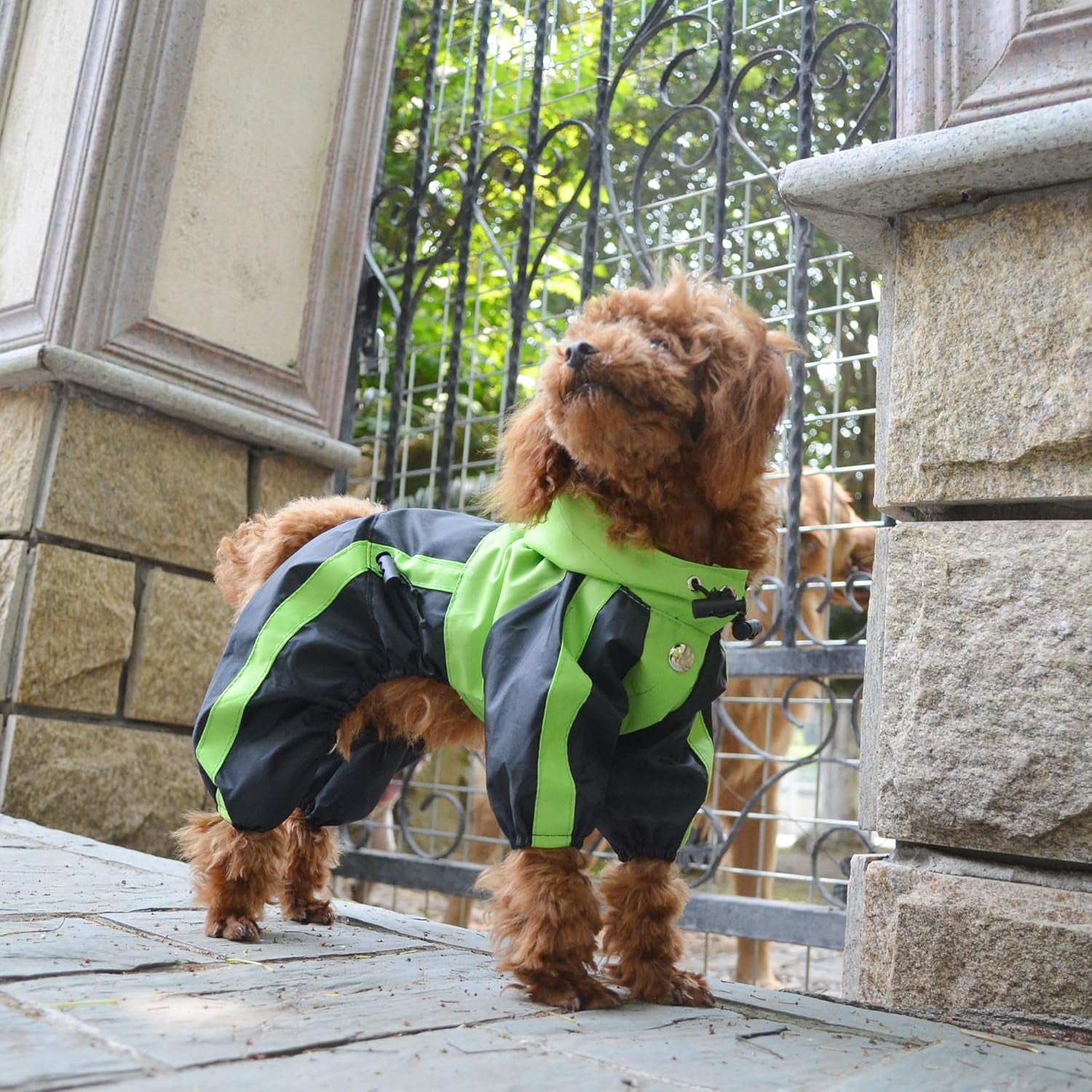 Pet Apparel Large Dog Clothing Raincoat Pet Clothes Rain Coat for Big Large Dogs Red Green Waterproof (L-M, Green)