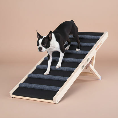 Small black and white dog using a dog ramp on a beige background