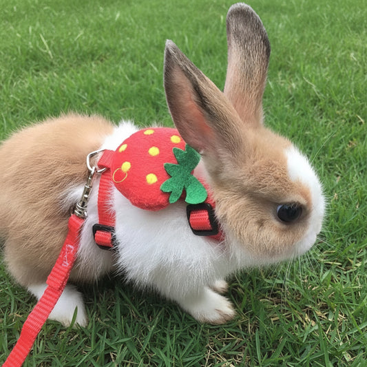 Cartoon Rabbit Harness and Leash Set Walking Adjustable Pet Harnesses for Small Animals Bunny Guinea Pig Mascotas Accessories