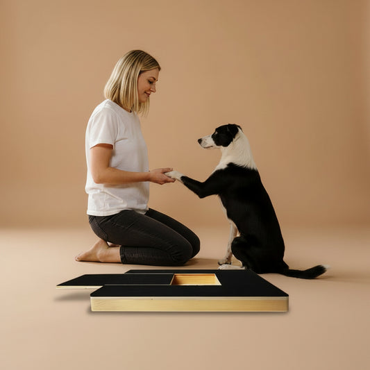 Woman kneeling on a floor next to scratcher puzzle box with a black and white dog on a beige background