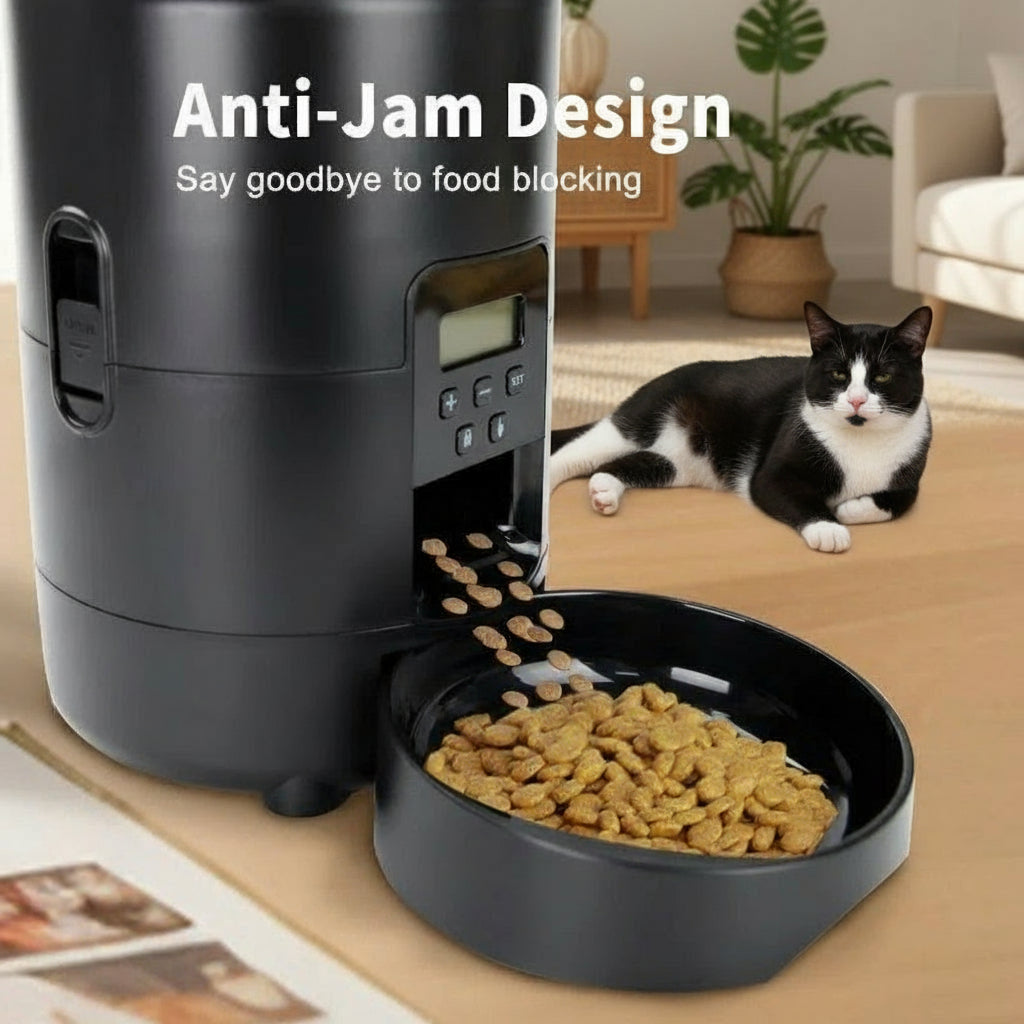 HEYBO Automatic Cat Feeder 2L Dry Food Dispenser