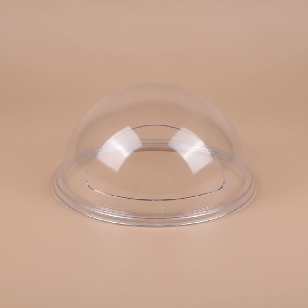 Wall Mounted Fish Bowl
