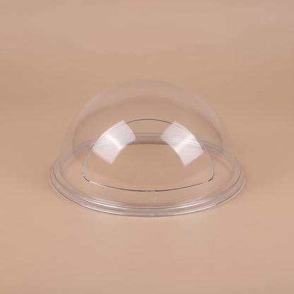 Wall Mounted Fish Bowl