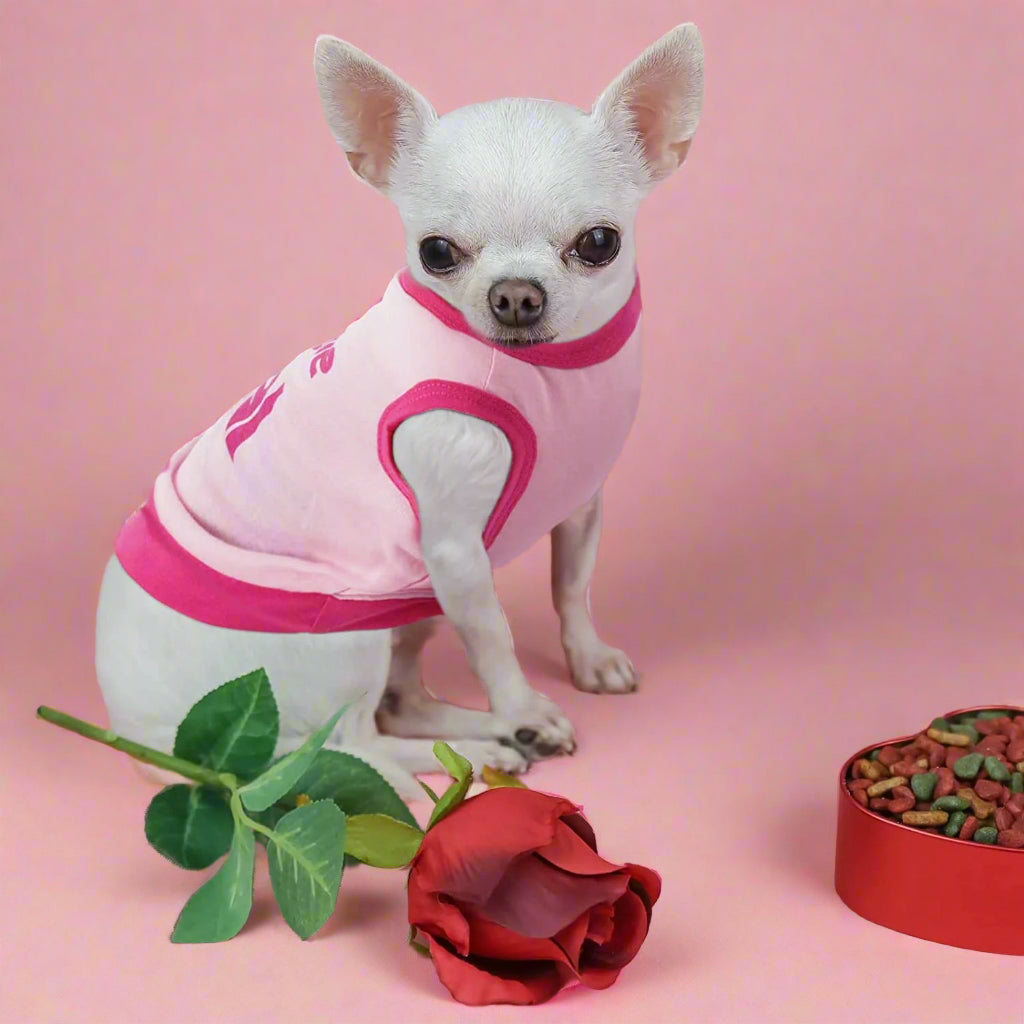 8 Pieces Pet Shirts Printed Puppy Soft Dog Shirt Pullover Cute Dog Sweatshirts Valentine‘S Day Puppy Girl Clothes Outfits Small Pet Cats(Vivid Pattern,Size M)