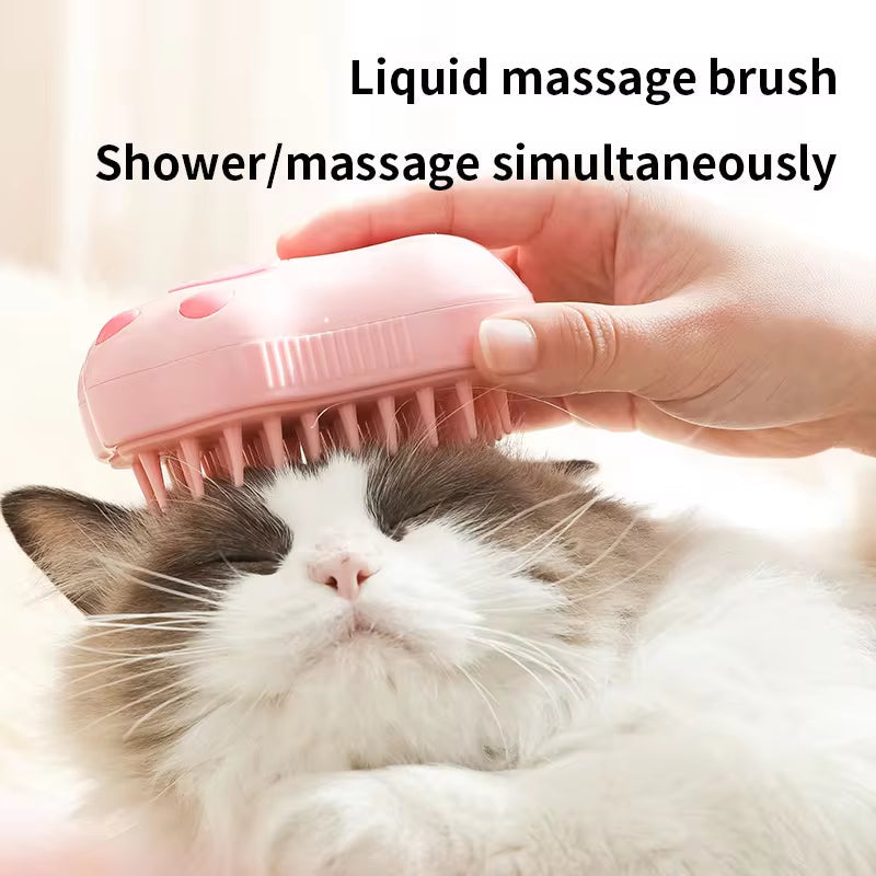 Rechargeable Steam Brush 