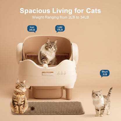Cat litter box with cats of different weights displayed, on a beige background.