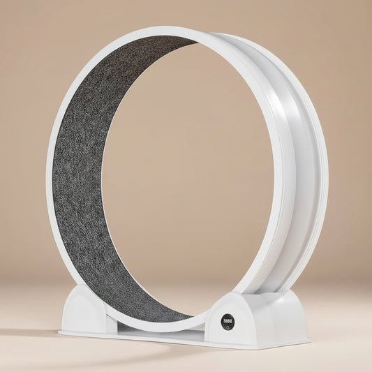 Image of a modern cat wheel on a beige background