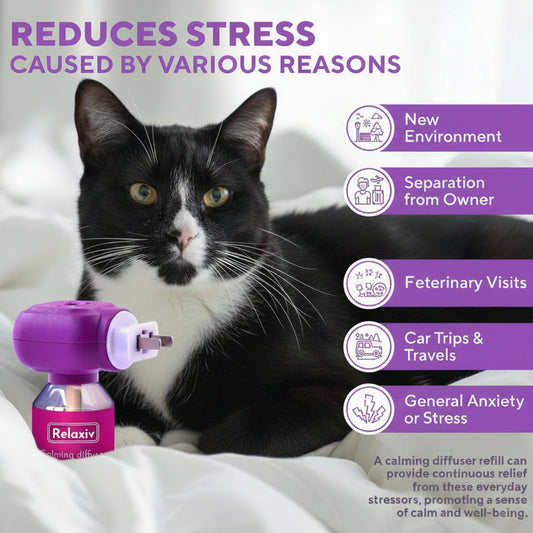 Relaxiv Natural Cat Calming Pheromone Diffuser Improved No Stress Formula anti Anxiety Treatment #1 for Cats and Dogs with a Long Lasting Calming Effect