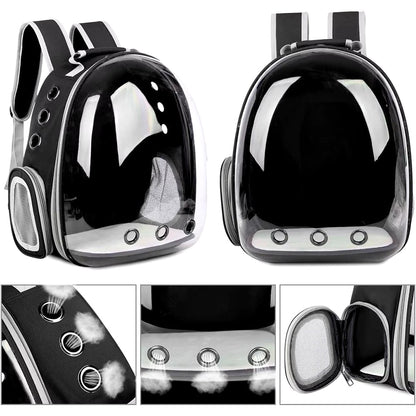 Capsule Backpack Carrier