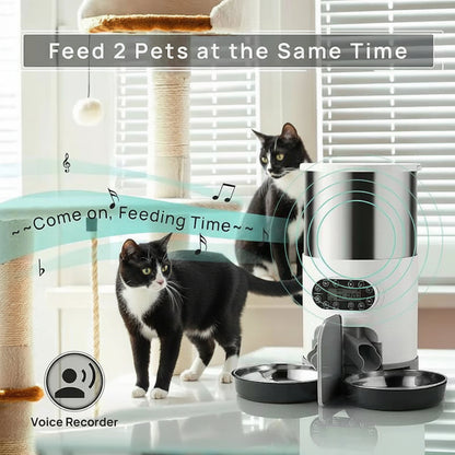 Two tuxedo cats standing next to an automatic pet feeder with a voice recorder feature.