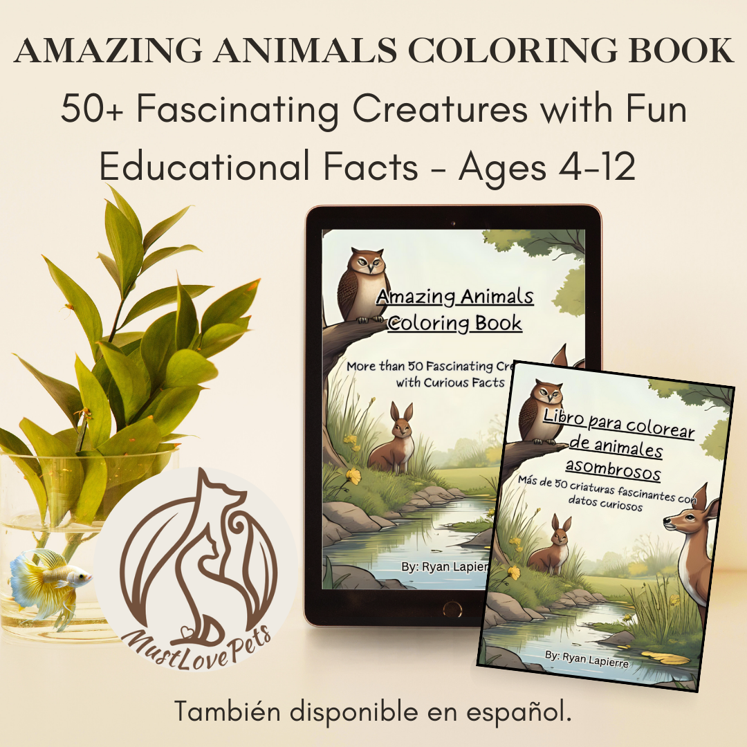 Animal Coloring Book with Fun Facts