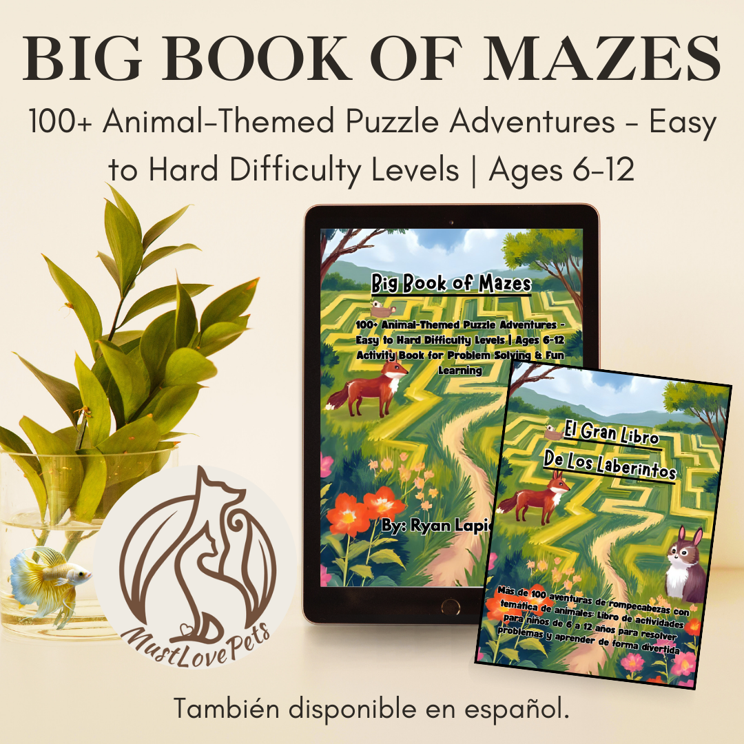 Big Book of Mazes