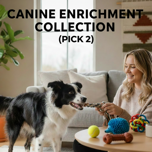 Woman playing with a dog in a living room, with text 'Canine Enrichment Collection by MustLovePets'.