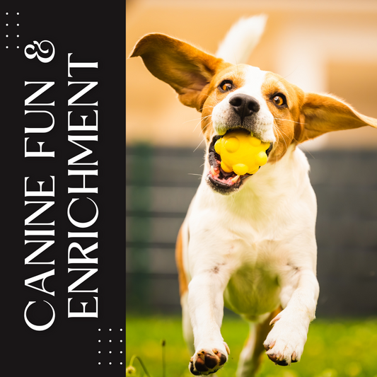 Canine Fun & Enrichment Bundle | Complete Mental & Physical Stimulation Kit | Must Love Pets (15% OFF)