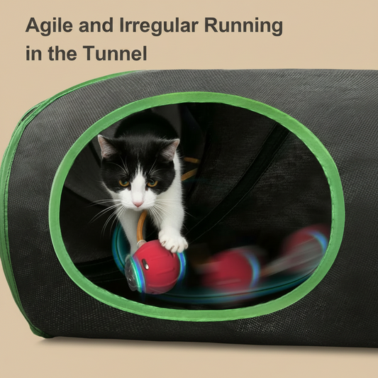 Cat playing with a toy inside a tunnel, with text 'Agile and Irregular Running in the Tunnel'.