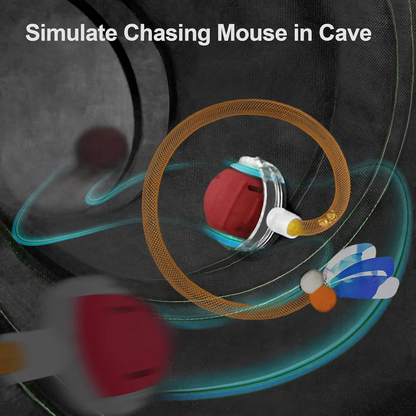 Image displaying a simulation of a cat  chasing a mouse in a dark cave with text 'Simulate Chasing Mouse in Cave' on a dark background