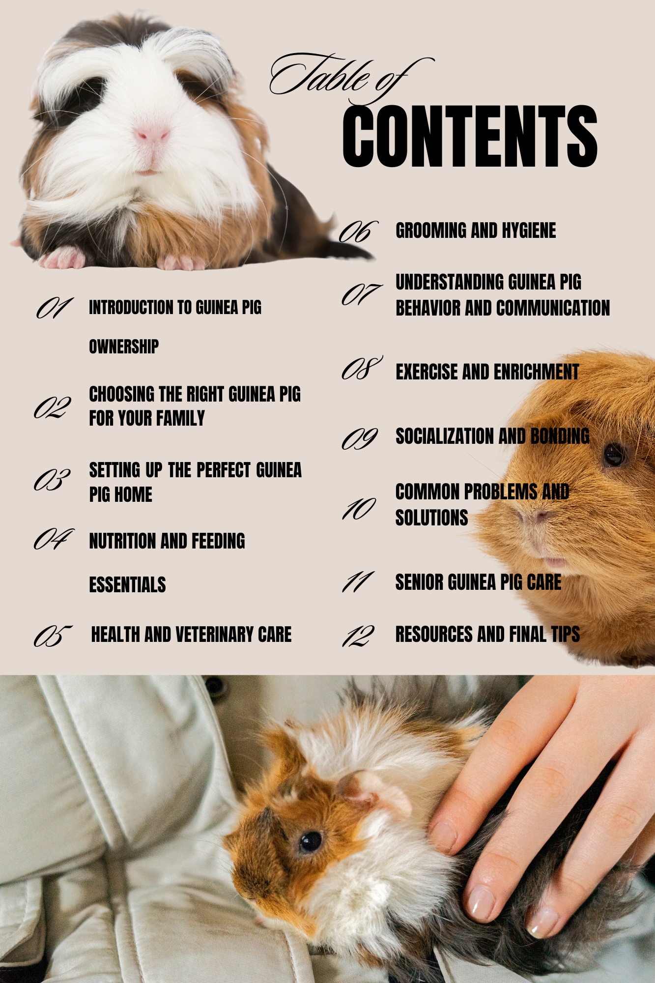 Table of contents for a guide on guinea pig care with images of guinea pigs and a hand.